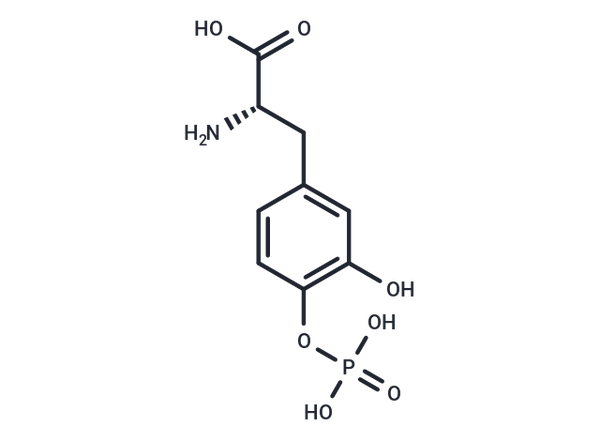 Foslevodopa – Figure 1 of 1