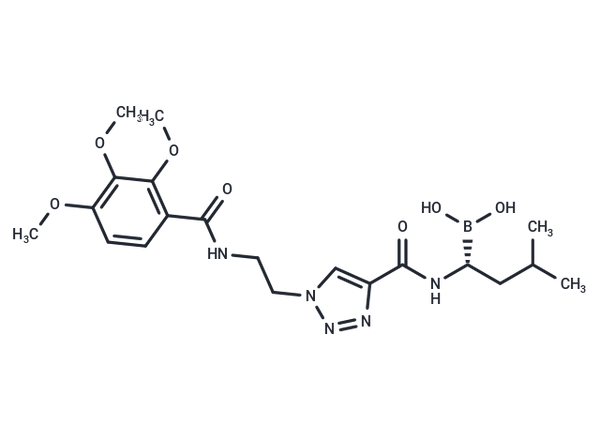 Proteasome-IN-5 – Figure 1 of 1