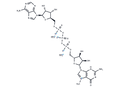 N7-Methyl-guanosine-5'-triphosphate-5'-adenosine diammonium – Figure 1 of 1