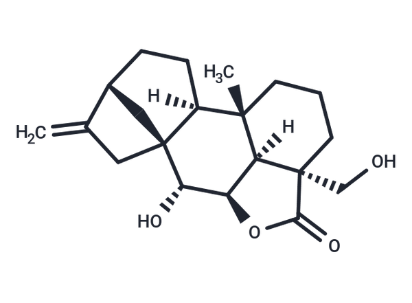 7,18-Dihydroxykaurenolide – Figure 1 of 1
