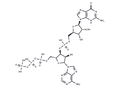 pppApG – Figure 1 of 1