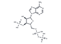 PAPS – Figure 1 of 1
