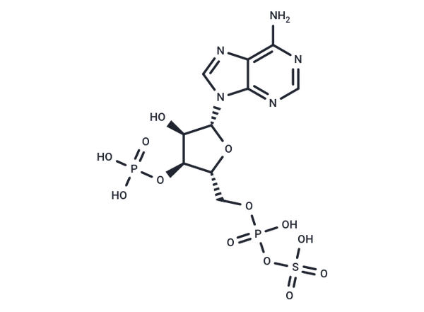 PAPS – Figure 1 of 1