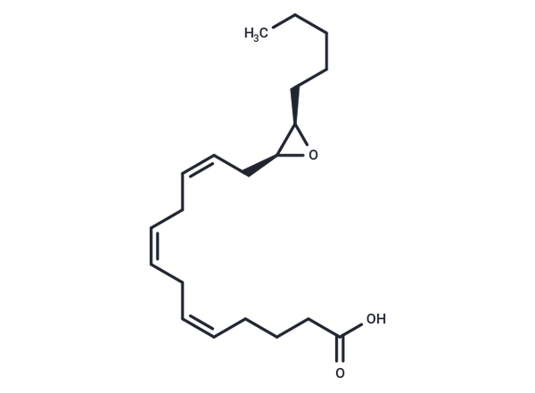 14S(15R)-EET – Figure 1 of 1