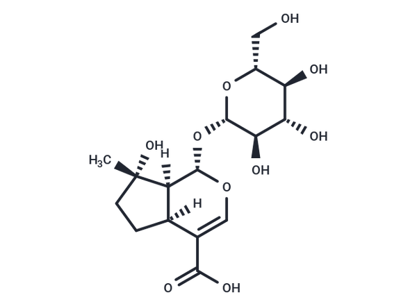 Mussaenosidic acid – Figure 1 of 1