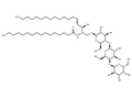 C16 Globotriaosylceramide (d18:1/16:0) – Figure 1 of 1
