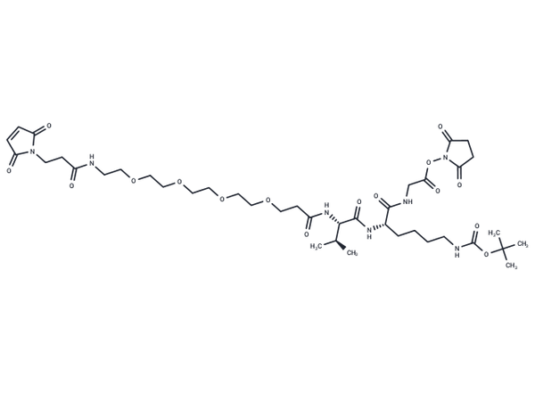 MP-PEG4-VK(Boc)G-OSu – Figure 1 of 1