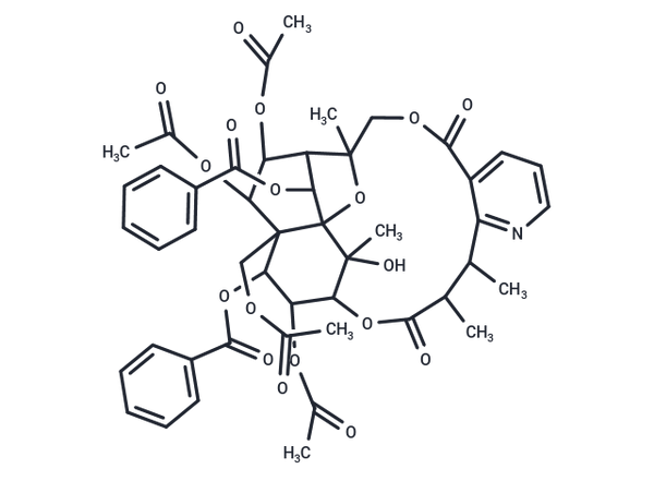 Ebenifoline E-II – Figure 1 of 1