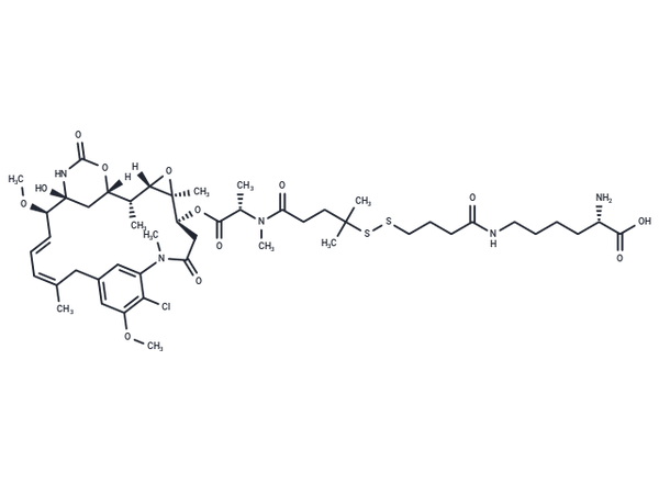 Lys-Nε-SPDB-DM4 – Figure 1 of 1