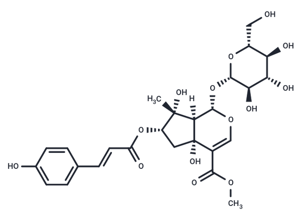 Lamiidoside – Figure 1 of 1