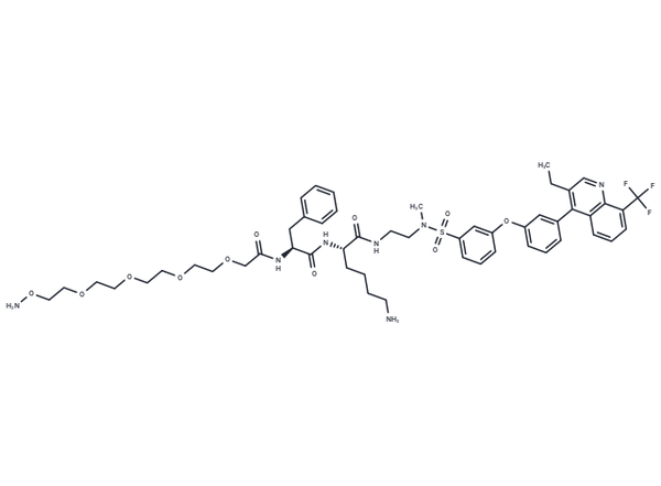 Aminooxy CatB-LXR – Figure 1 of 1