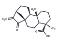 Kaur-16-en-18-oic acid, 15-oxo- (7CI,8CI) – Figure 1 of 1