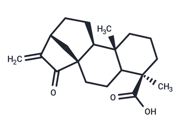 Kaur-16-en-18-oic acid, 15-oxo- (7CI,8CI) – Figure 1 of 1