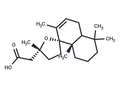 Grindelic acid – Figure 1 of 1