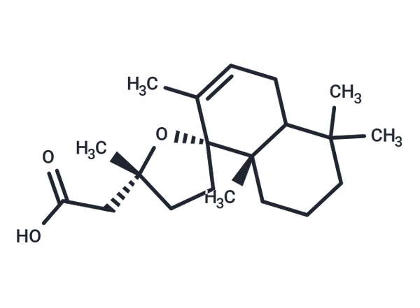 Grindelic acid – Figure 1 of 1
