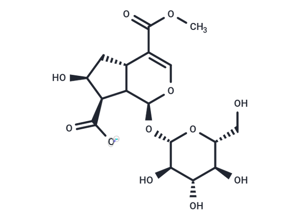 10-Carboxyloganin – Figure 1 of 1