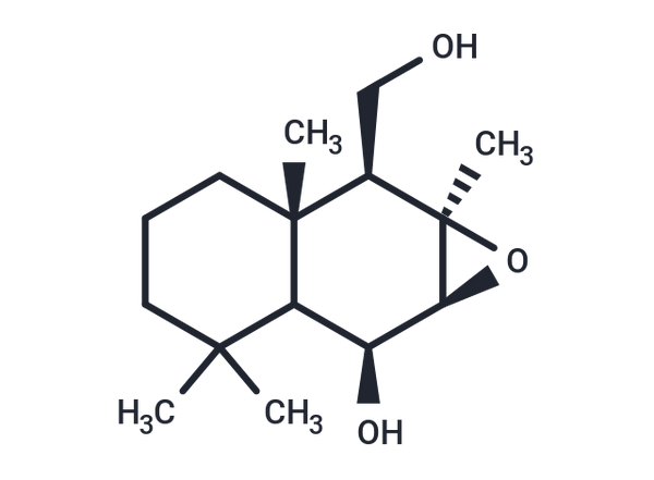 Uvidin B – Figure 1 of 1