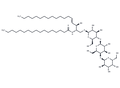 C17 Globotriaosylceramide (d18:1/17:0) – Figure 1 of 1