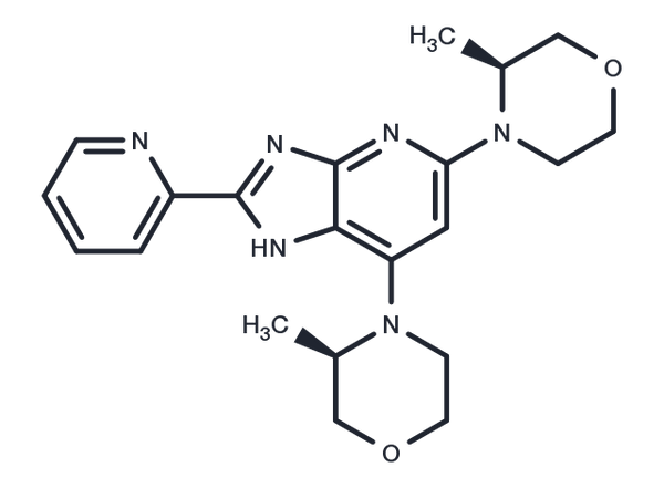mTOR inhibitor-11 – Figure 1 of 1