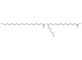 13-SAHSA – Figure 1 of 1