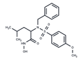 MMP-3 Inhibitor VIII – Figure 1 of 1