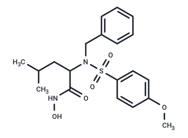 MMP-3 Inhibitor VIII – Figure 1 of 1