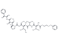 PDS-MMAE – Figure 1 of 1