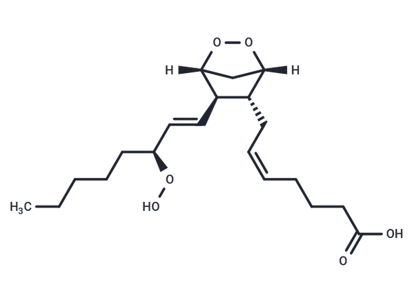 Prostaglandin G2 – Figure 1 of 1