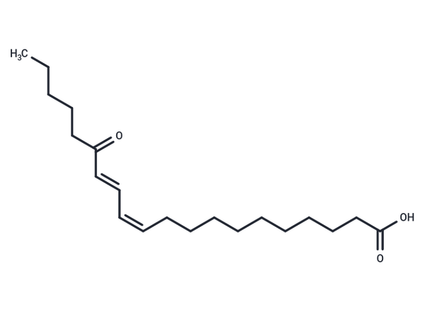 15-OxoEDE – Figure 1 of 1
