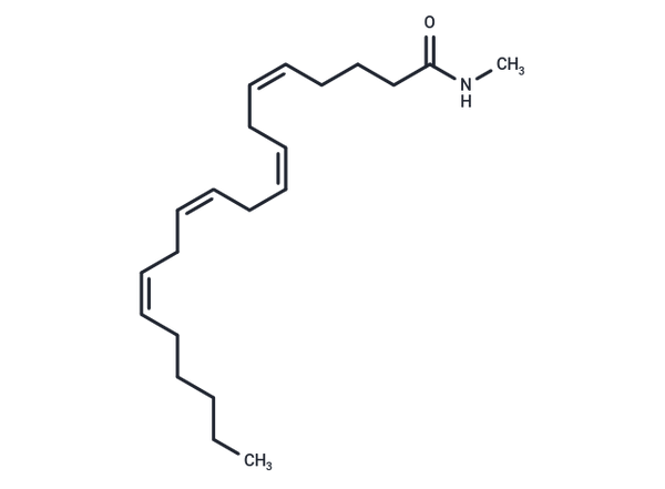 Arachidonoyl-N-methyl amide – Figure 1 of 1