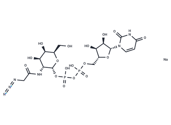 UDP-GalNAz disodium – Figure 1 of 1