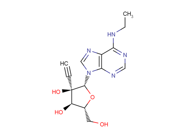 N6-Ethyl-2'-beta-C-ethynyl   adenosine – Figure 1 of 1