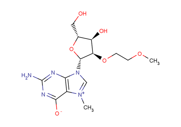 N7-Methyl-2'-O-(2-methoxyethyl)   guanosine – Figure 1 of 1