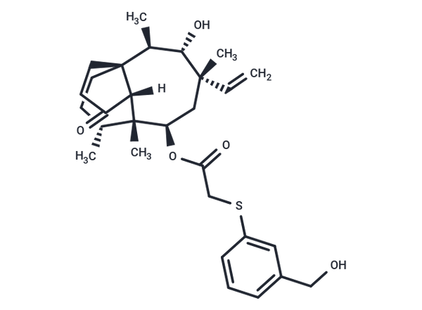 BC-7013 – Figure 1 of 1