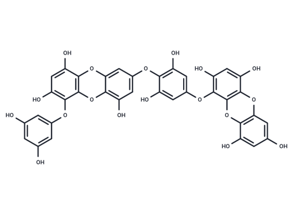 Dieckol – Figure 1 of 1