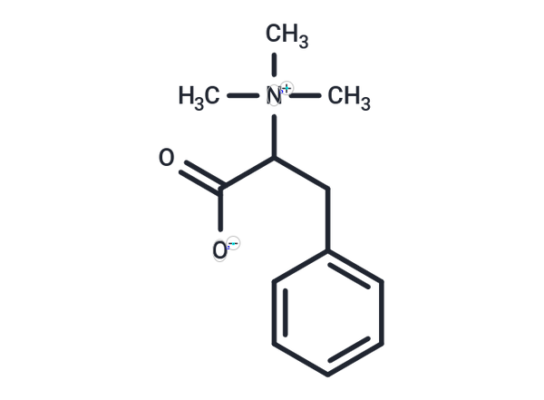 Phenylalanine N,N,N-Tri-Me betaine – Figure 1 of 1