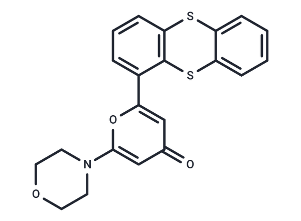 KU-55933 – Figure 1 of 1