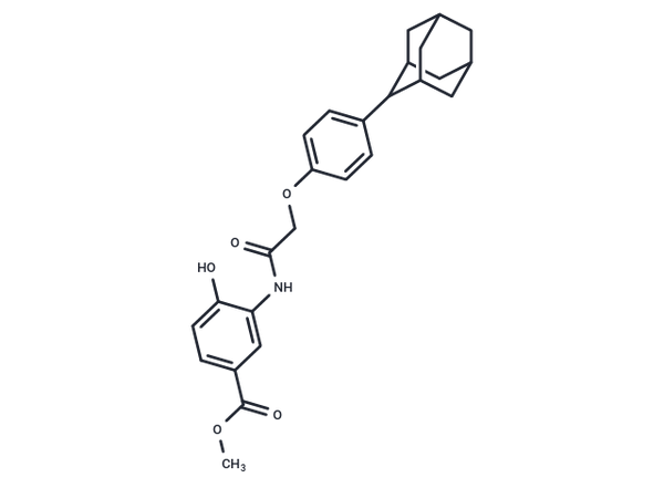LW6 – Figure 1 of 1