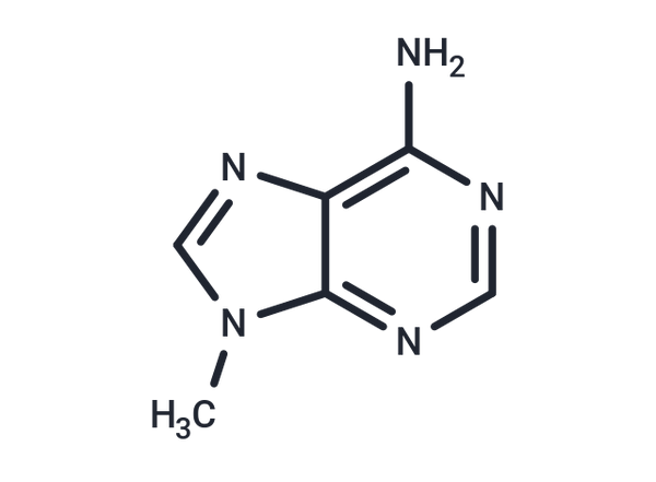 9-Methyladenine – Figure 1 of 1