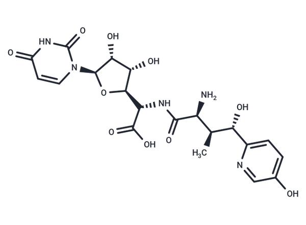 Nikkomycin Z – Figure 1 of 1