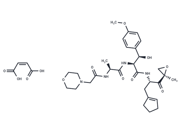 Zetomipzomib maleate – Figure 1 of 1