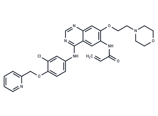 Tuxobertinib – Figure 1 of 1