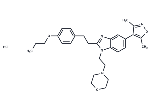 PF-CBP1 hydrochloride – Figure 1 of 1