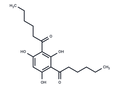 Hyp9 – Figure 1 of 1