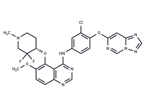 HER2-IN-14 – Figure 1 of 1
