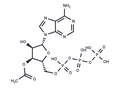 3′-Acetate-ATP – Figure 1 of 1