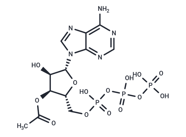 3′-Acetate-ATP – Figure 1 of 1