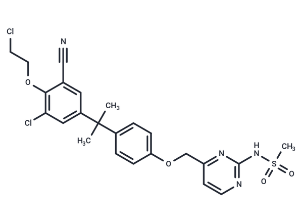 Masofaniten – Figure 1 of 1