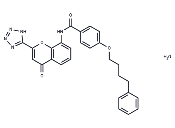 Pranlukast hemihydrate – Figure 1 of 1