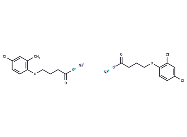 Legumin – Figure 1 of 1